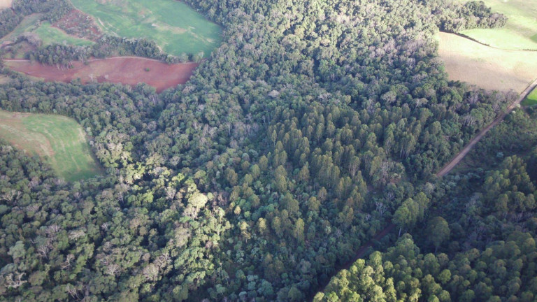 Imagem Terreno à Venda, 49.381 m² em Interior - Concórdia Imagem Terreno à Venda, 49.381 m² em Interior - Concórdia