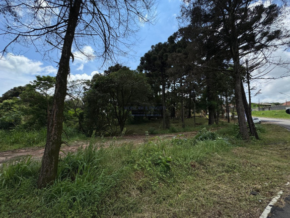 Imagem Terreno à Venda, 1.347 m² em Osasco - Colombo Imagem Terreno à Venda, 1.347 m² em Osasco - Colombo