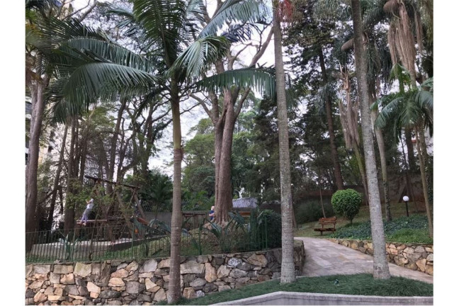 Imagem Imóvel com 3 Quartos à Venda, em Jardim Colombo - São Paulo Imagem Imóvel com 3 Quartos à Venda, em Jardim Colombo - São Paulo
