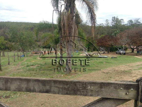 Imagem Imóvel com 3 Quartos à Venda, 5.000 m² em Mococa - Bofete