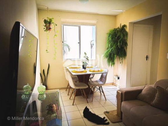 Imagem Apartamento com 2 Quartos para Alugar, em Jockey Club - Campos Dos Goytacazes Imagem Apartamento com 2 Quartos para Alugar, em Jockey Club - Campos Dos Goytacazes