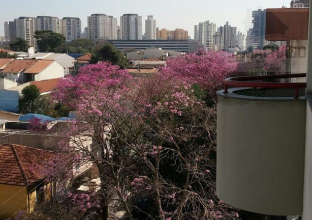 Imagem Apartamento com 2 Quartos à Venda, 100 m² em Vila Santa Tereza - Santo André Imagem Apartamento com 2 Quartos à Venda, 100 m² em Vila Santa Tereza - Santo André