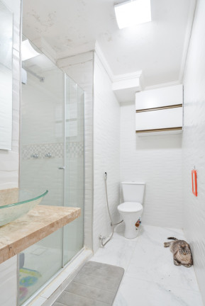Imagem Apartamento com 3 Quartos à Venda, 65 m² em Instituto De Previdência - São Paulo Imagem Apartamento com 3 Quartos à Venda, 65 m² em Instituto De Previdência - São Paulo