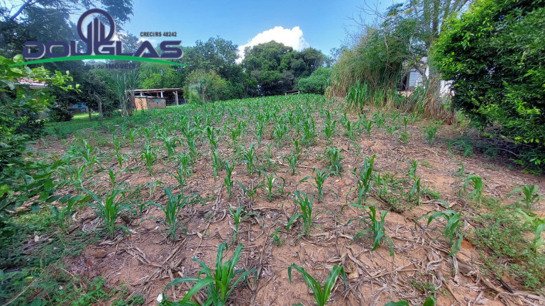Imagem Terreno à Venda, em águas Claras - Viamão Imagem Terreno à Venda, em águas Claras - Viamão