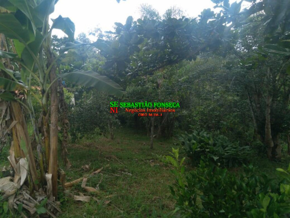 Imagem Chácara à Venda, 5.000 m² em Turvo - São José Dos Campos