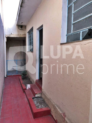 Imagem Casa com 3 Quartos para Alugar, 80 m² em Vila Maria Alta - São Paulo