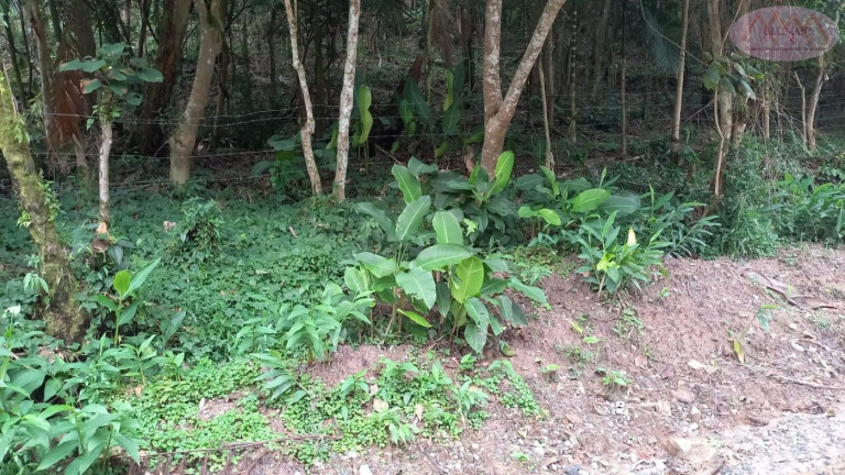Terreno à Venda, 3.504 m² em Represa - Ribeirão Pires