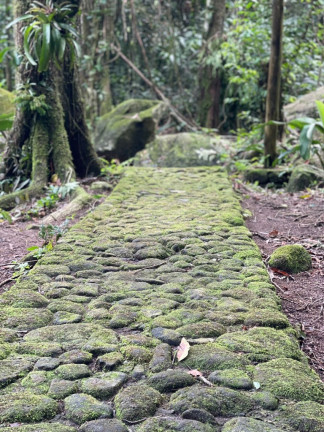 Imagem Imóvel com 5 Quartos à Venda, 20.000 m² em Maresias - São Sebastião