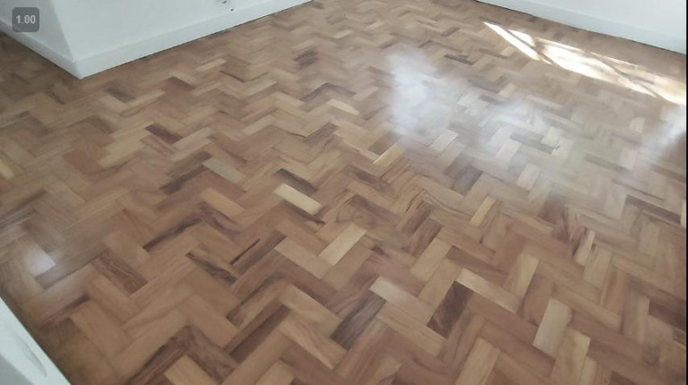 Imagem Apartamento com 3 Quartos à Venda, 87 m² em Vila Paulista - São Paulo Imagem Apartamento com 3 Quartos à Venda, 87 m² em Vila Paulista - São Paulo