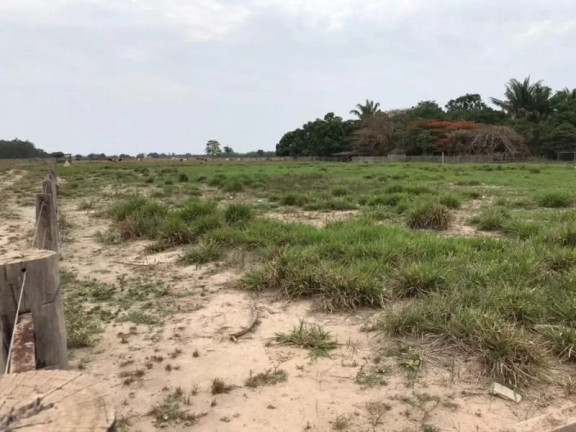 Fazenda à Venda, 1 m² em Zona Rural - Sinop
