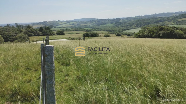 Imagem Imóvel com 2 Quartos à Venda, 180.000 m² em Capela Da Buena - Morro Redondo Imagem Imóvel com 2 Quartos à Venda, 180.000 m² em Capela Da Buena - Morro Redondo