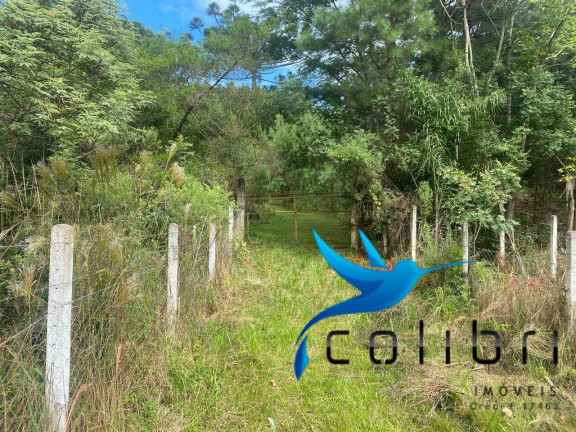 Imagem Chácara com 4 Quartos à Venda, 72.600 m² em Pinheiro Ocado - Agudos Do Sul Imagem Chácara com 4 Quartos à Venda, 72.600 m² em Pinheiro Ocado - Agudos Do Sul