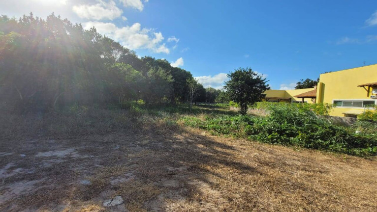 Imagem Terreno à Venda, 450 m² em Praia Da Pipa - Tibau Do Sul Imagem Terreno à Venda, 450 m² em Praia Da Pipa - Tibau Do Sul