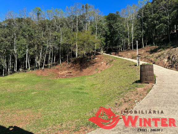 Imagem Chácara à Venda, 35 m² em Bela Vista - Feliz Imagem Chácara à Venda, 35 m² em Bela Vista - Feliz