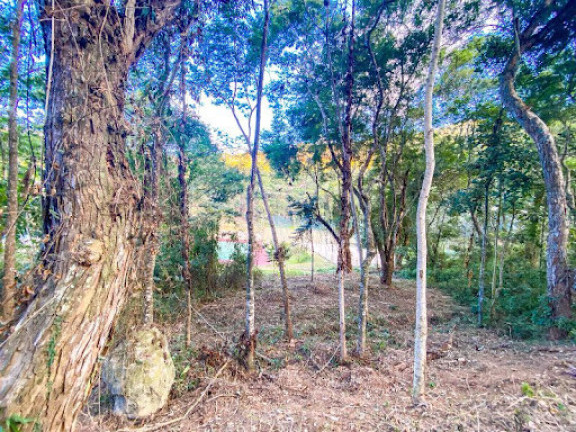 Terreno à Venda, 322 m² em Vargem Grande - Teresópolis
