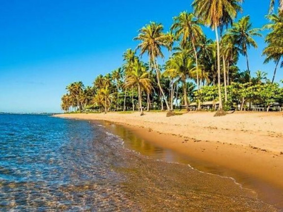 Terreno à Venda, 700 m² em Praia Do Forte - Mata De São João
