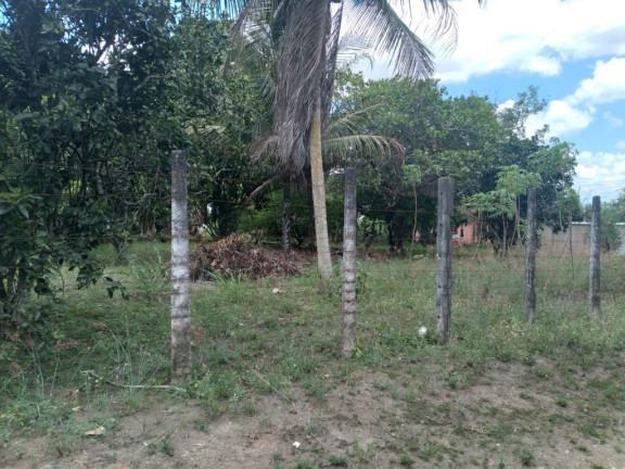 Imagem Terreno à Venda, 3.000 m² em Rural - Paudalho Imagem Terreno à Venda, 3.000 m² em Rural - Paudalho