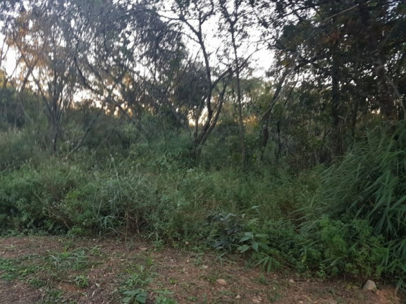 Imóvel à Venda, 2.002 m² em Condomínio Arvoredo - Nova Lima