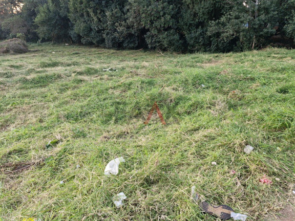 Terreno à Venda,  em Vila Bela - Guarapuava