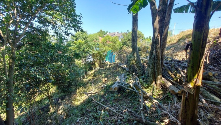 Imagem Terreno à Venda, 756 m² em Faria Lemos - Bento Gonçalves Imagem Terreno à Venda, 756 m² em Faria Lemos - Bento Gonçalves