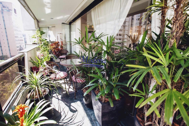 Imagem Apartamento com 4 Quartos à Venda, 341 m² em Jardim Paulista - São Paulo Imagem Apartamento com 4 Quartos à Venda, 341 m² em Jardim Paulista - São Paulo