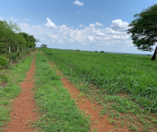 Imagem Imóvel à Venda,  em Divinópolis Do Tocantins/to - Divinópolis Do Tocantins