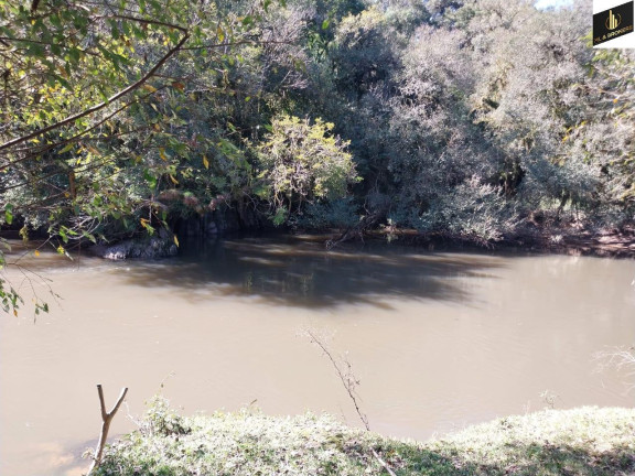 Imagem Imóvel com 5 Quartos à Venda, 30.000 m² em Margens Ro Da Varzea - Quitandinha