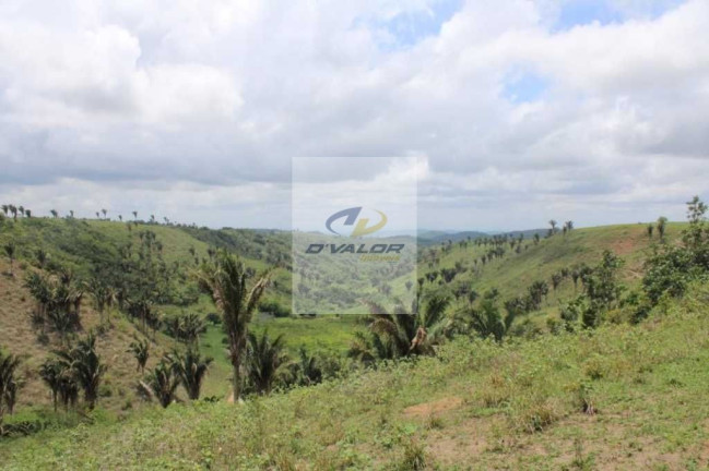 Imagem Casa com 3 Quartos à Venda, 143 m² em Maia - Bananeiras