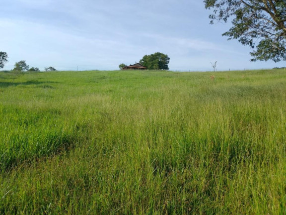 Imagem Chácara à Venda, 16 m² em Rural - Itapetininga Imagem Chácara à Venda, 16 m² em Rural - Itapetininga
