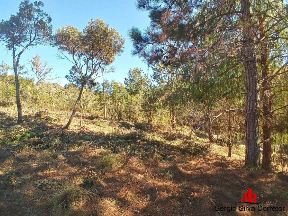 Imagem Terreno à Venda, 1.050 m² em Vale Encantado - Campos Do Jordão Imagem Terreno à Venda, 1.050 m² em Vale Encantado - Campos Do Jordão