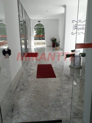 Imagem Apartamento com 2 Quartos à Venda, 56 m² em Cambuci - São Paulo Imagem Apartamento com 2 Quartos à Venda, 56 m² em Cambuci - São Paulo