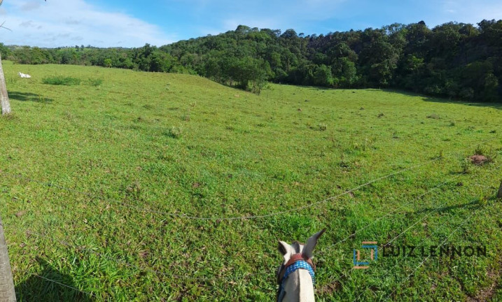 Imagem Imóvel com 3 Quartos à Venda, 820.000 m² em Centro - Varjão De Minas