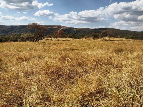Imagem Fazenda à Venda, 48 m² em Goiânia Imagem Fazenda à Venda, 48 m² em Goiânia