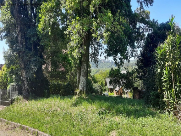 Terreno à Venda, 585 m² em Juriti - Nova Petrópolis