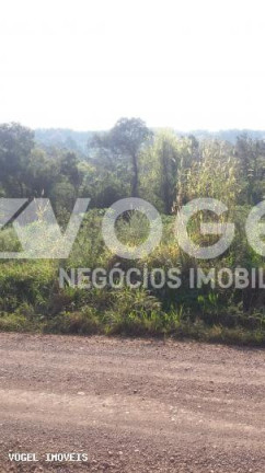 Imagem Imóvel à Venda, 5 m² em Bairro Não Informado - Ivoti Imagem Imóvel à Venda, 5 m² em Bairro Não Informado - Ivoti