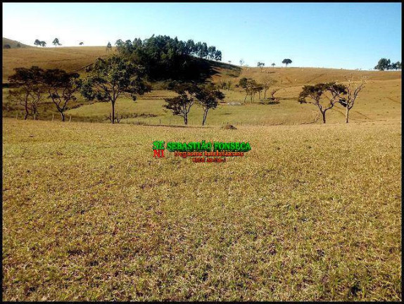 Imagem Fazenda à Venda, 128 m² em Guaratinguetá Imagem Fazenda à Venda, 128 m² em Guaratinguetá