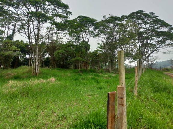 Imagem Terreno à Venda, em Ipiabas - Barra Do Piraí Imagem Terreno à Venda, em Ipiabas - Barra Do Piraí