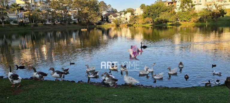 Imagem Sobrado com 5 Quartos à Venda, 800 m² em Parque Terra Nova Ii - São Bernardo Do Campo