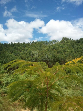 Imagem Imóvel à Venda, 120.000 m² em Aracê - Domigos Martins Imagem Imóvel à Venda, 120.000 m² em Aracê - Domigos Martins