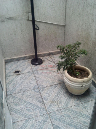 Imagem Casa com 3 Quartos à Venda, 180 m² em Jardim Nossa Senhora Do Carmo - São Paulo Imagem Casa com 3 Quartos à Venda, 180 m² em Jardim Nossa Senhora Do Carmo - São Paulo