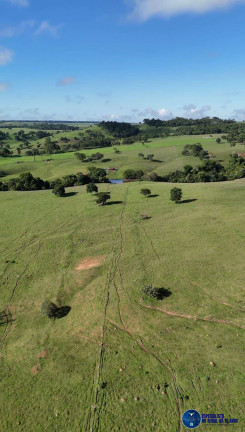 Imagem Fazenda à Venda, 34 m² em Zona Rural - Anicuns Imagem Fazenda à Venda, 34 m² em Zona Rural - Anicuns