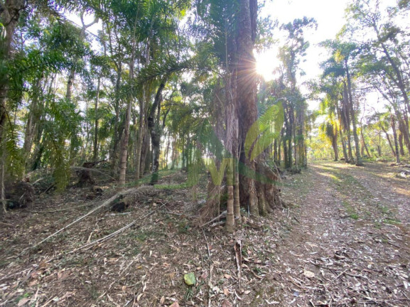 Imagem Terreno em Condomínio à Venda, 3.000 m² em Portão - Atibaia Imagem Terreno em Condomínio à Venda, 3.000 m² em Portão - Atibaia