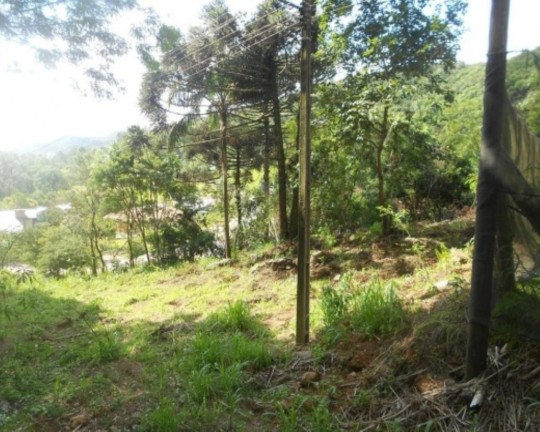 Terreno à Venda, 2.500 m² em Pia - Nova Petrópolis