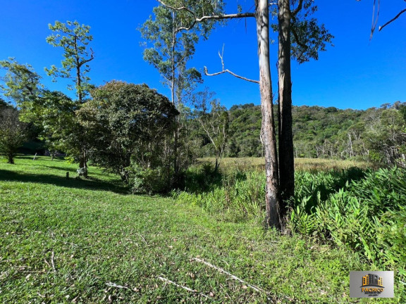 Imagem Imóvel com 3 Quartos à Venda, 40.000 m² em Bairro Dos Soares - Juquitiba Imagem Imóvel com 3 Quartos à Venda, 40.000 m² em Bairro Dos Soares - Juquitiba