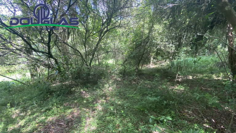 Imagem Terreno à Venda, 5.000 m² em Viamão Imagem Terreno à Venda, 5.000 m² em Viamão
