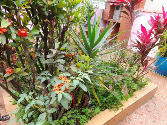 Imagem Casa com 4 Quartos à Venda, 300 m² em Ponta Da Praia - Santos Imagem Casa com 4 Quartos à Venda, 300 m² em Ponta Da Praia - Santos