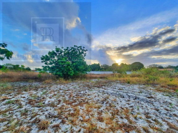 Imagem Chácara com 3 Quartos à Venda, 11.800 m² Imagem Chácara com 3 Quartos à Venda, 11.800 m²