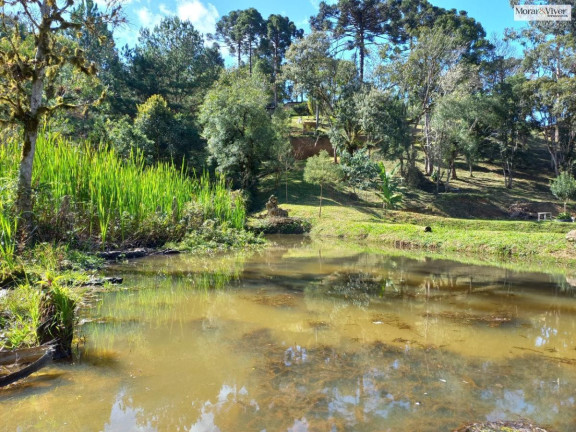 Imagem Chácara à Venda, 8.000 m² em Zona Rural - Quatro Barras Imagem Chácara à Venda, 8.000 m² em Zona Rural - Quatro Barras