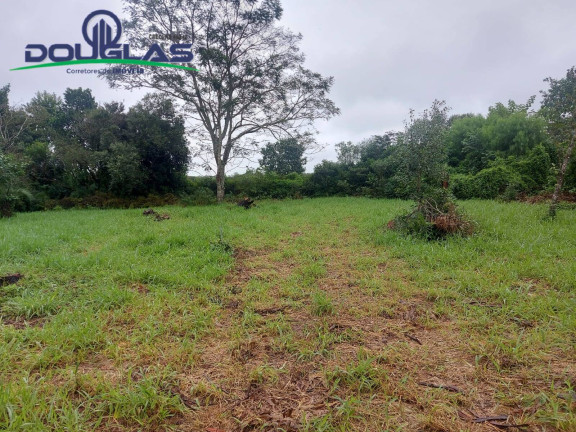 Imagem Terreno à Venda, 600 m² em águas Claras - Viamão Imagem Terreno à Venda, 600 m² em águas Claras - Viamão