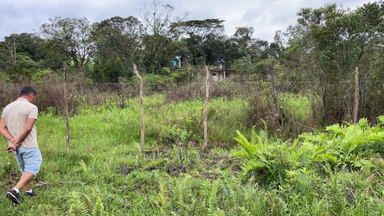 Imagem Terreno à Venda, 300 m² em Area Não Loteada - Itanhaém